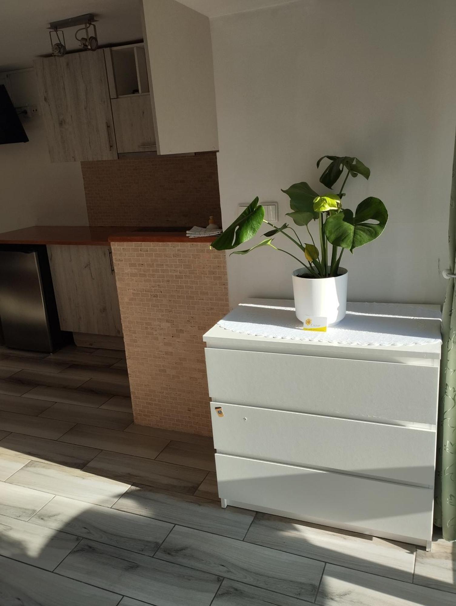 Cezar Naturyzm 2* Bielsko-Biała