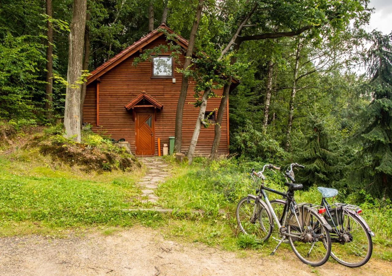 Cezar Naturyzm Bielsko-Biala Holiday park